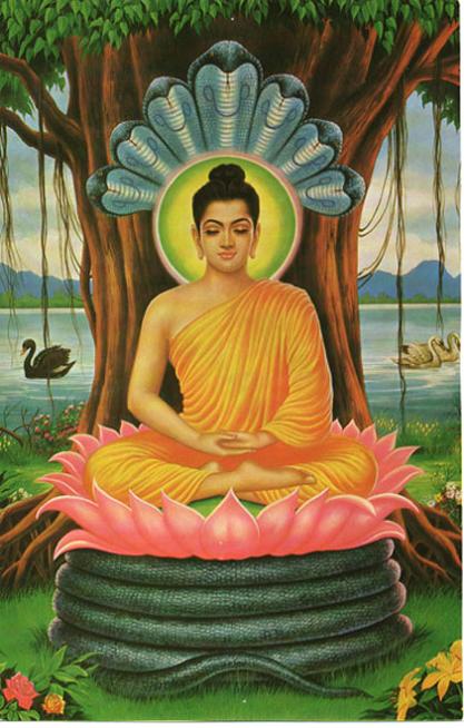 Buddha.jpg